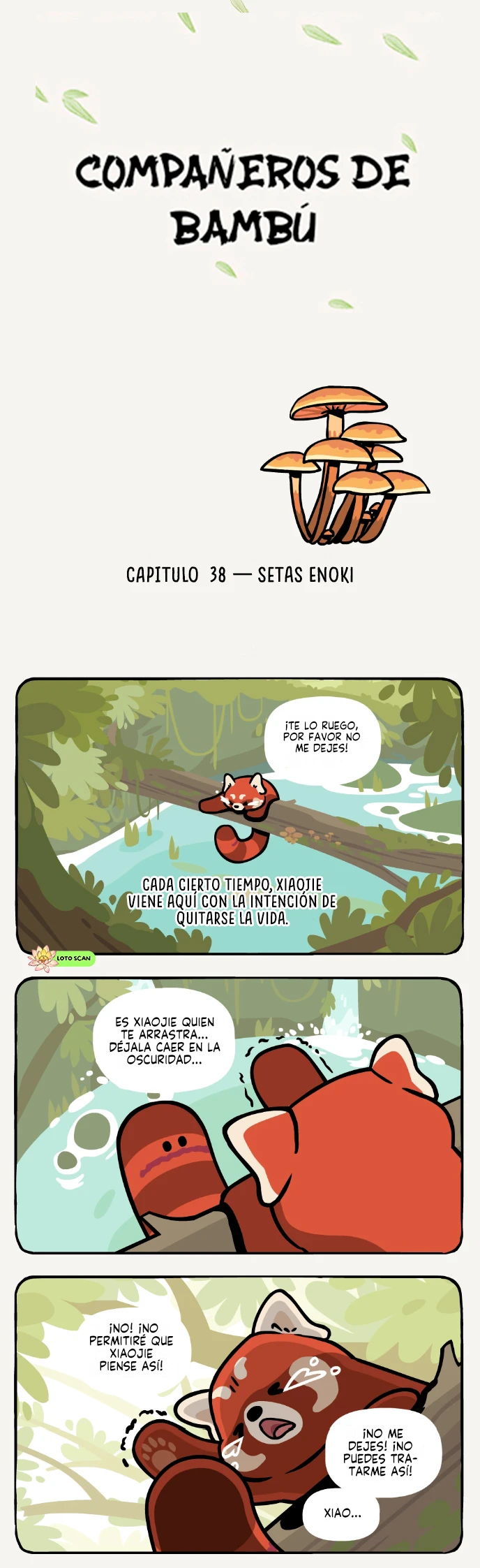 1 compañeros de bambu