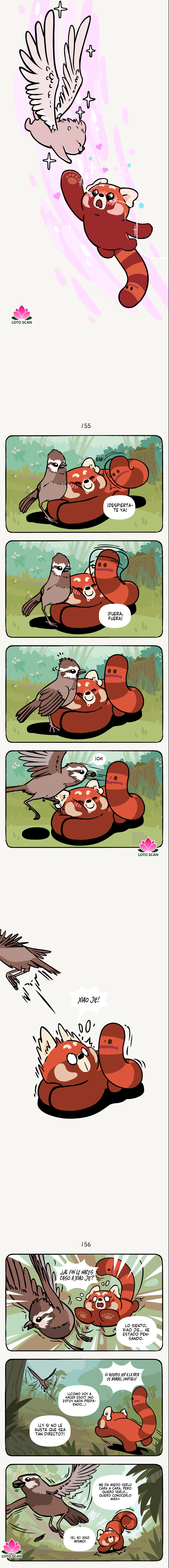 2 compañeros de bambu