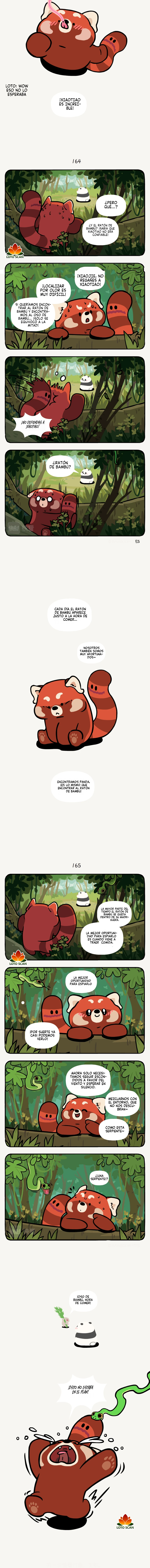 2 compañeros de bambu