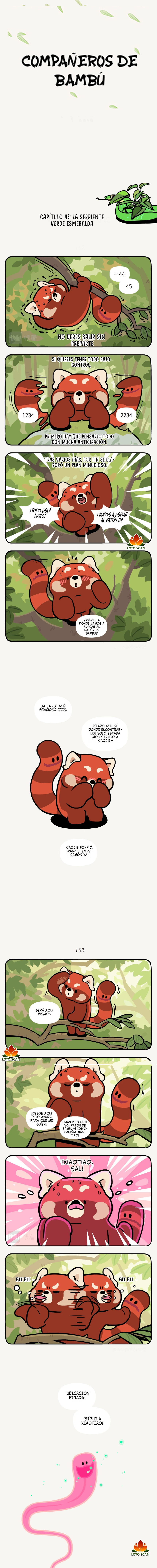 1 compañeros de bambu