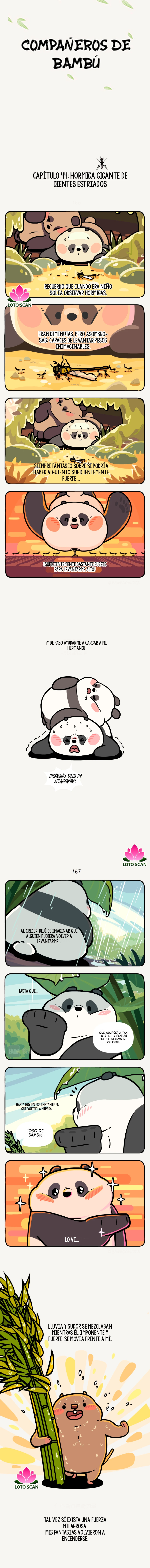 1 compañeros de bambu