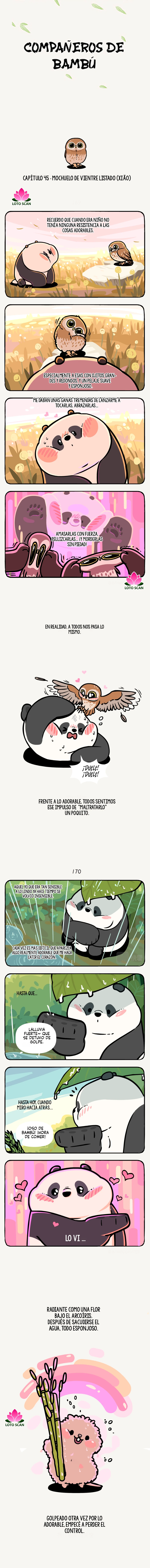 1 compañeros de bambu