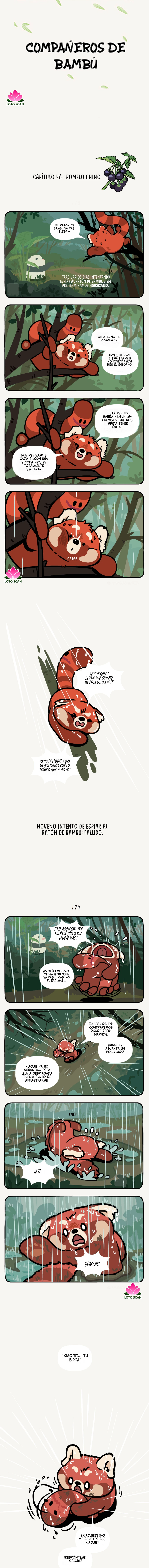 1 compañeros de bambu