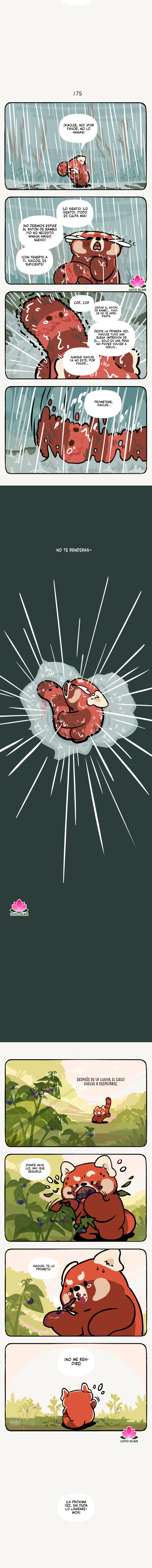 2 compañeros de bambu