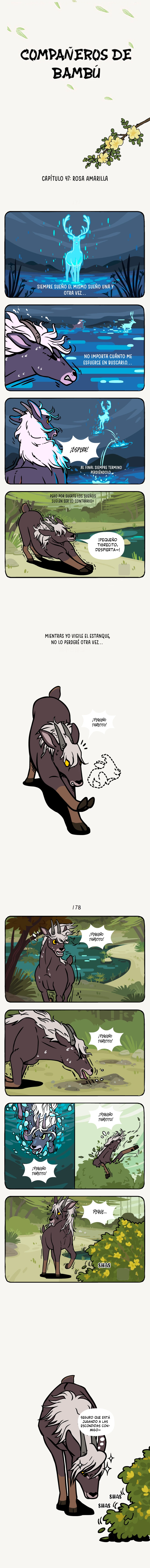 1 compañeros de bambu