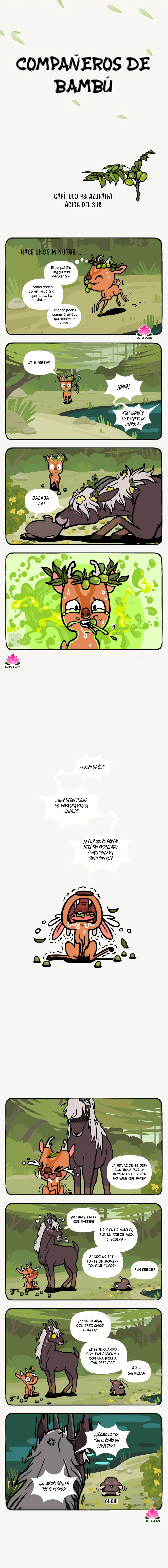 1 compañeros de bambu