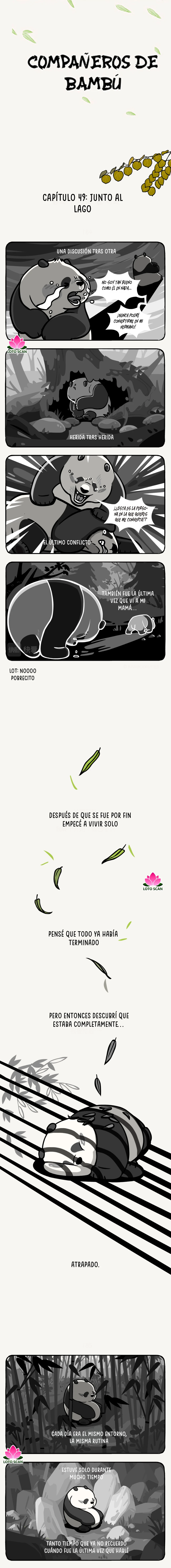 1 compañeros de bambu