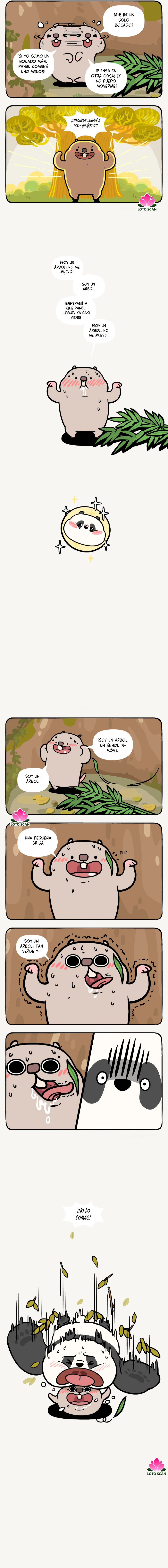 3 compañeros de bambu