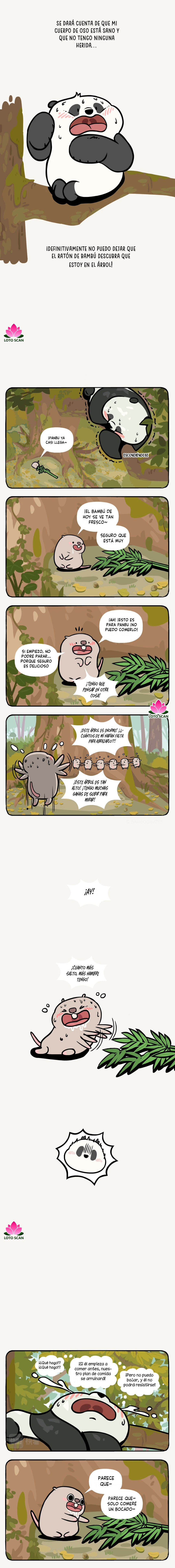 2 compañeros de bambu