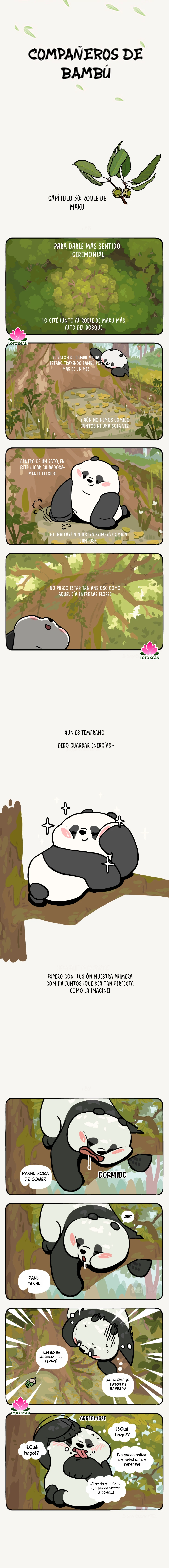 1 compañeros de bambu