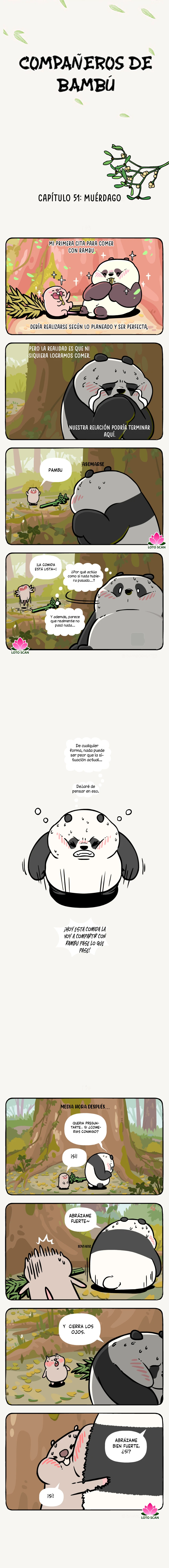 1 compañeros de bambu