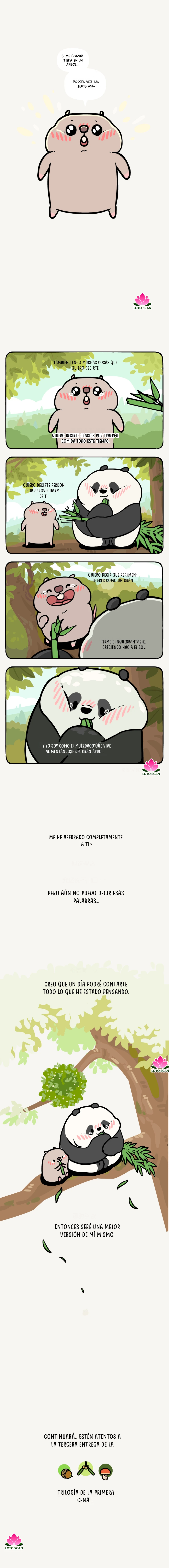 3 compañeros de bambu