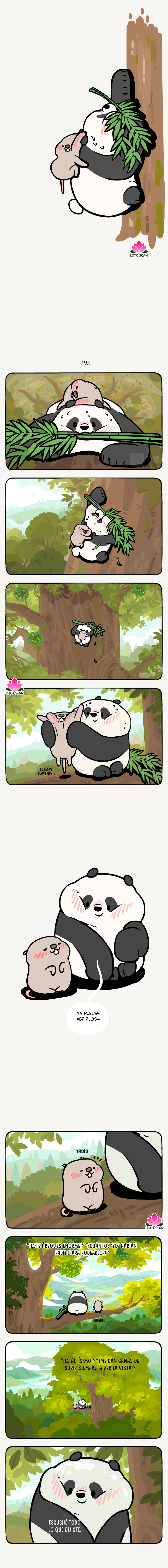 2 compañeros de bambu