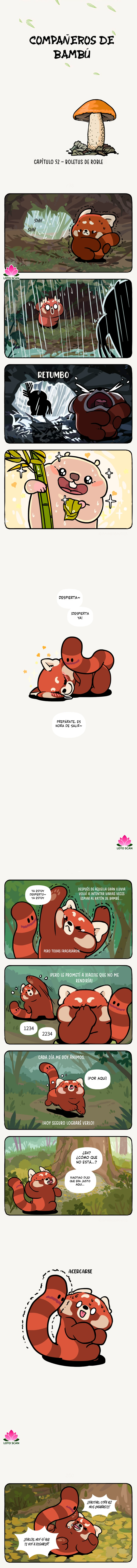 1 compañeros de bambu