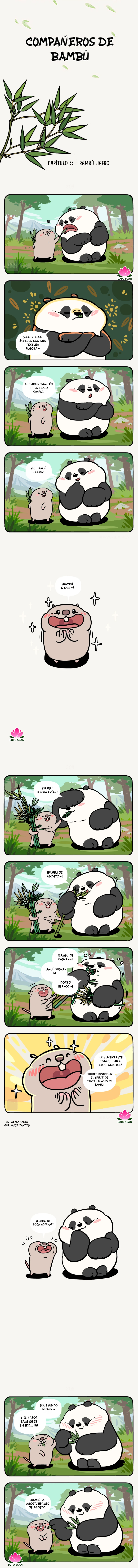 1 compañeros de bambu