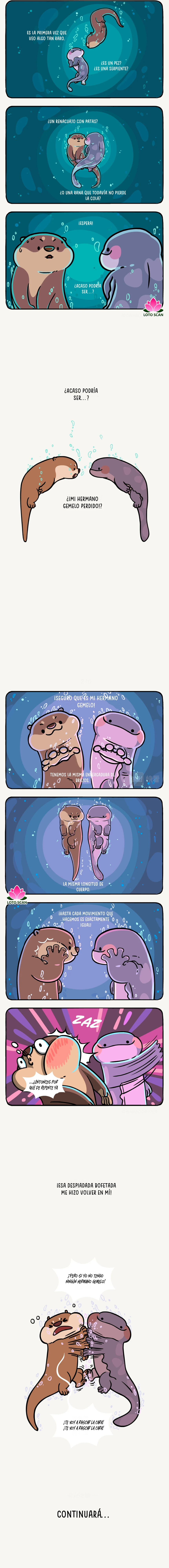 2 compañeros de bambu