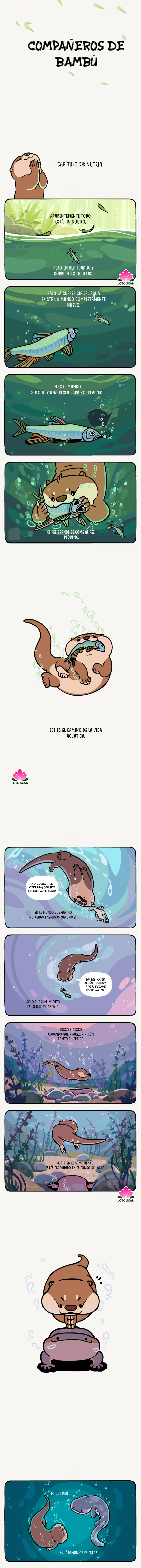 1 compañeros de bambu