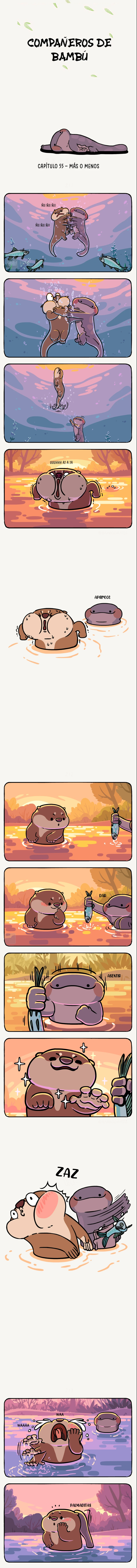 1 compañeros de bambu