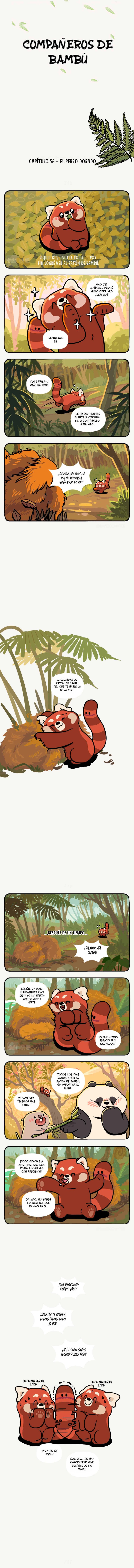 1 compañeros de bambu