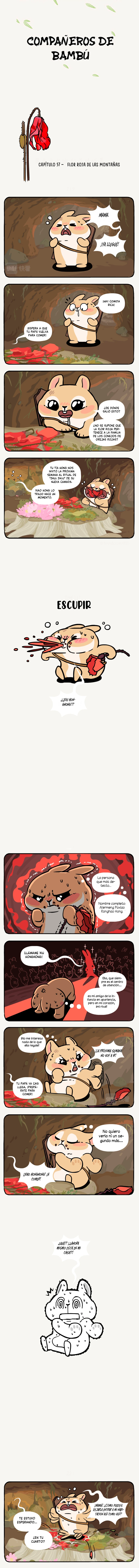 1 compañeros de bambu