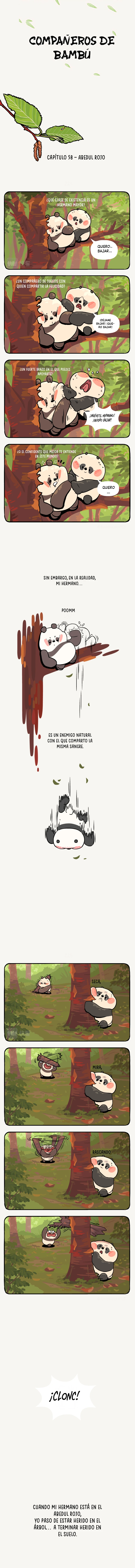 1 compañeros de bambu