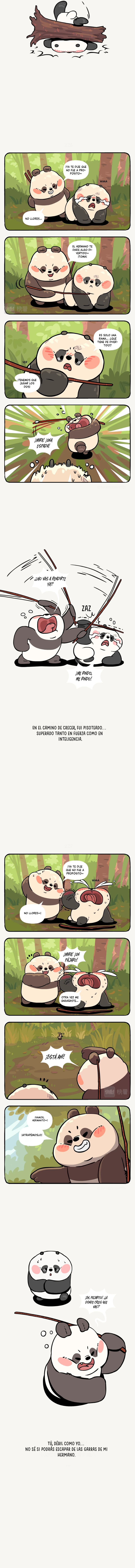 2 compañeros de bambu