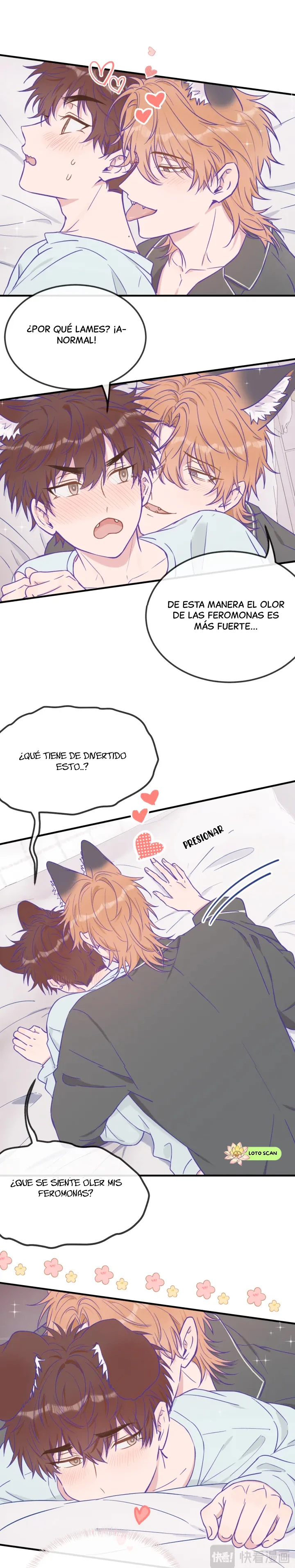 15 El cachorro mentiroso sera devorado