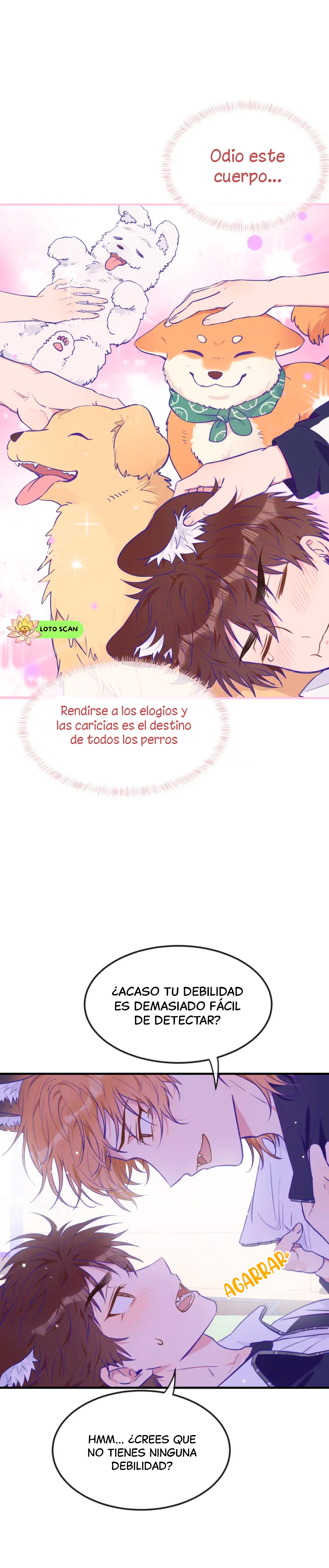 15 El cachorro mentiroso sera devorado