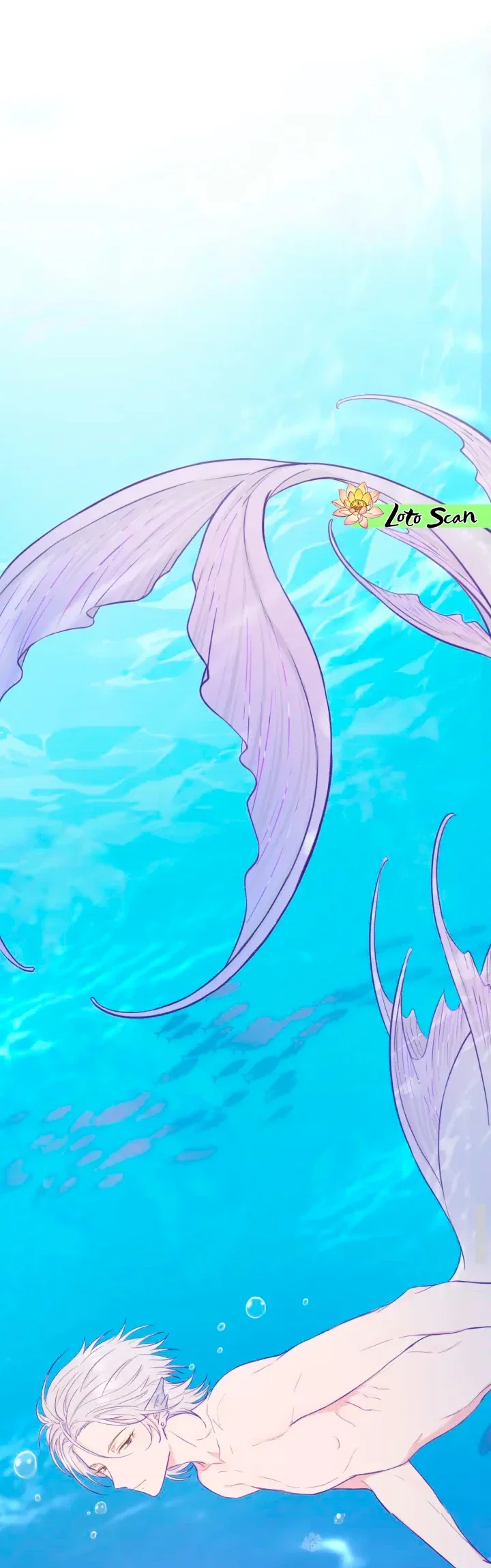 22 El cachorro mentiroso sera devorado