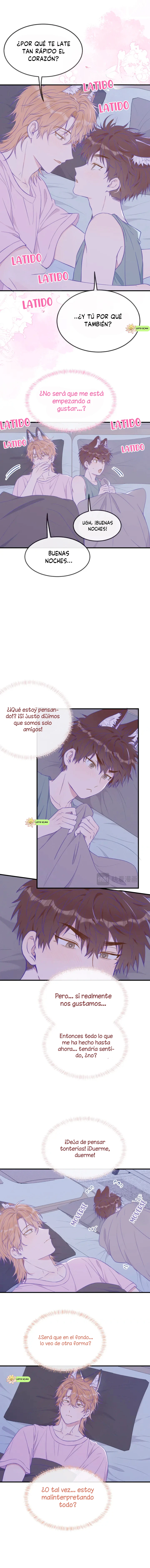 6 El cachorro mentiroso sera devorado