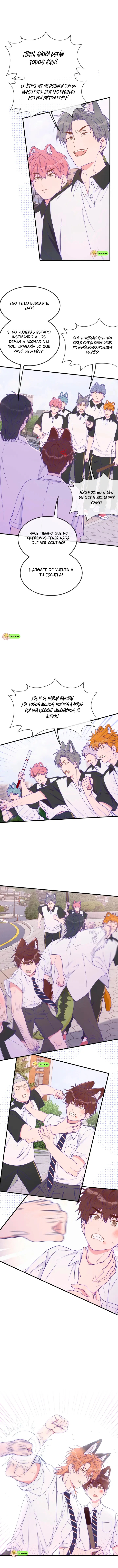 5 El cachorro mentiroso sera devorado