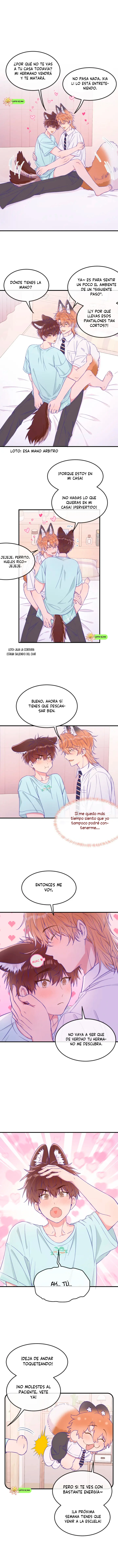 1 El cachorro mentiroso sera devorado