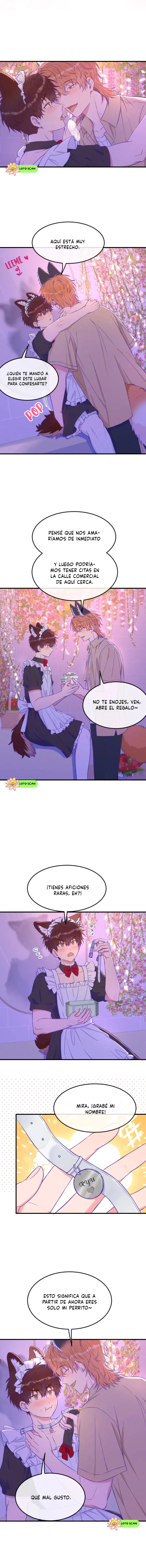 6 El cachorro mentiroso sera devorado