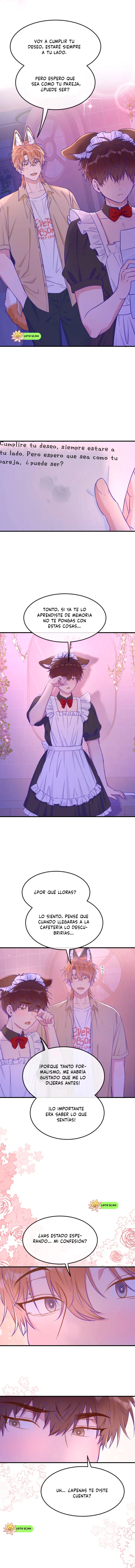 4 El cachorro mentiroso sera devorado