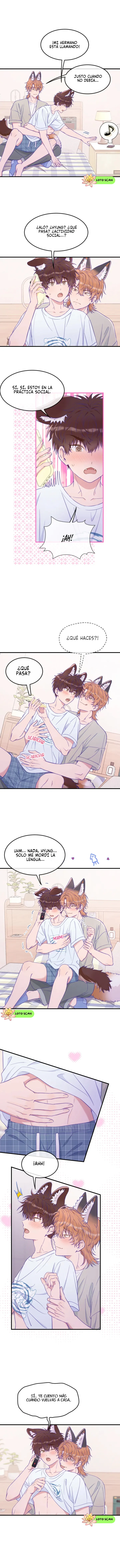 7 El cachorro mentiroso sera devorado