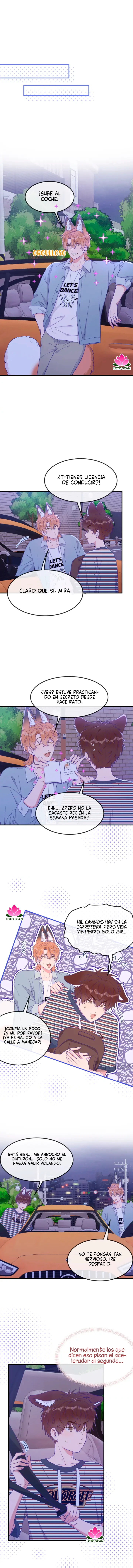 2 El cachorro mentiroso sera devorado