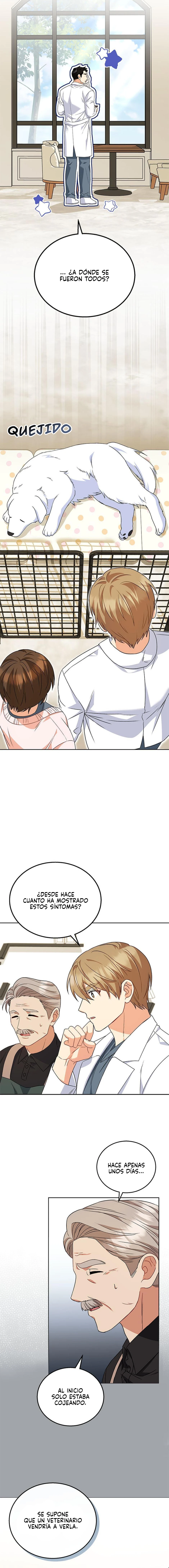 8 Veterinario Hola