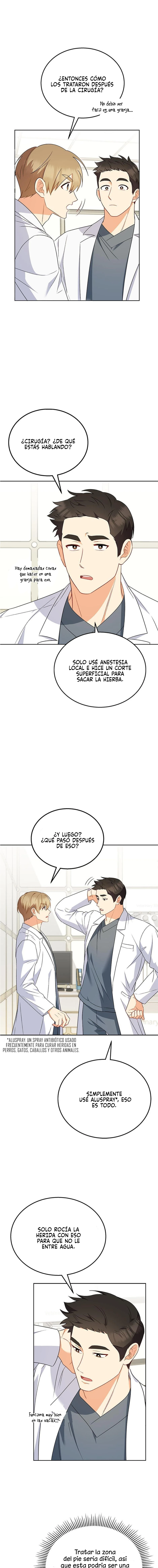6 Veterinario Hola