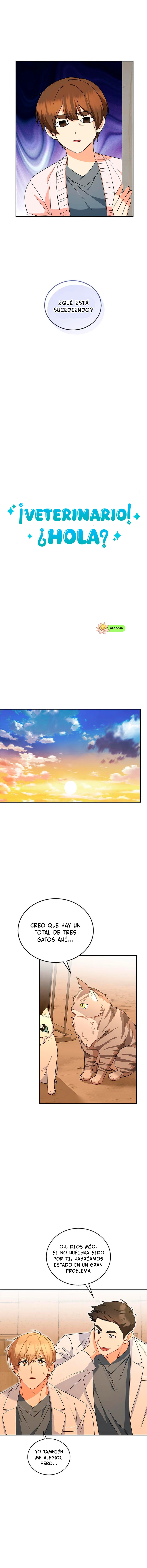 3 Veterinario Hola
