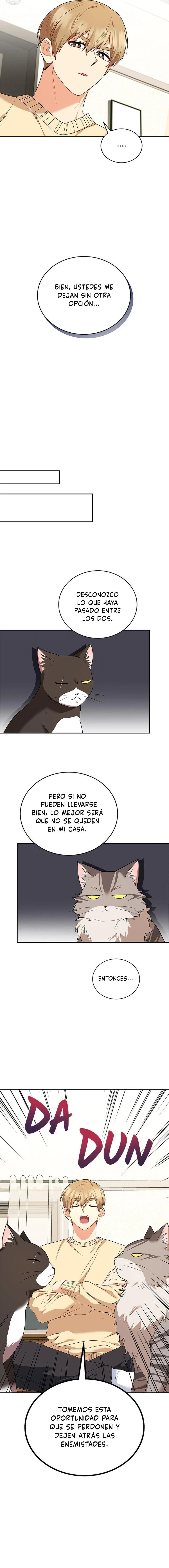 10 Veterinario Hola
