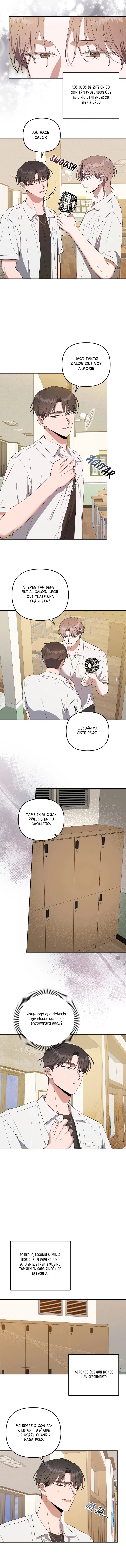 5 sobreviviendo en un mundo en ruinas