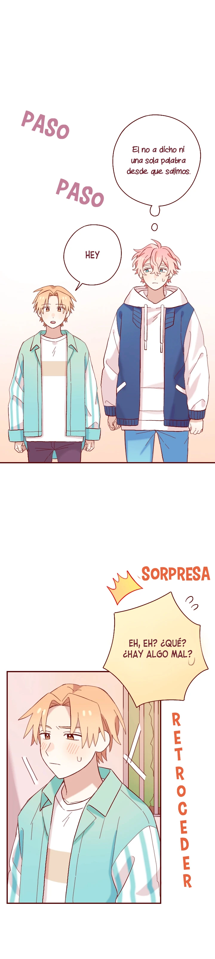 29 A partir de hoy renuncio a mi primer amor