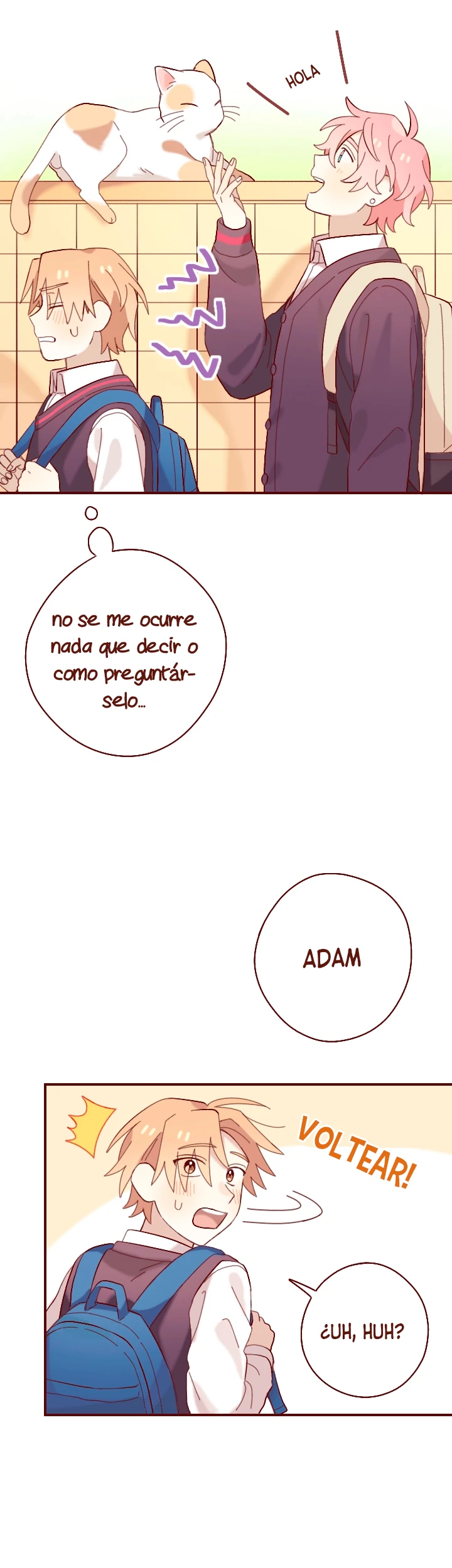 20 A partir de hoy renuncio a mi primer amor