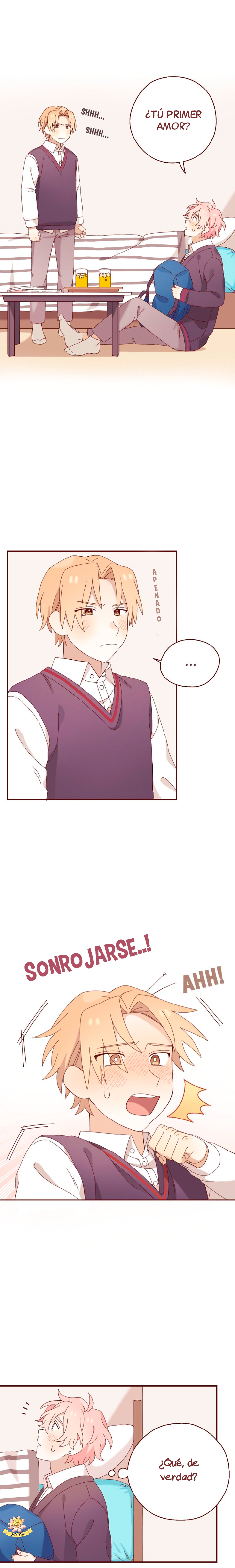 13 A partir de hoy renuncio a mi primer amor