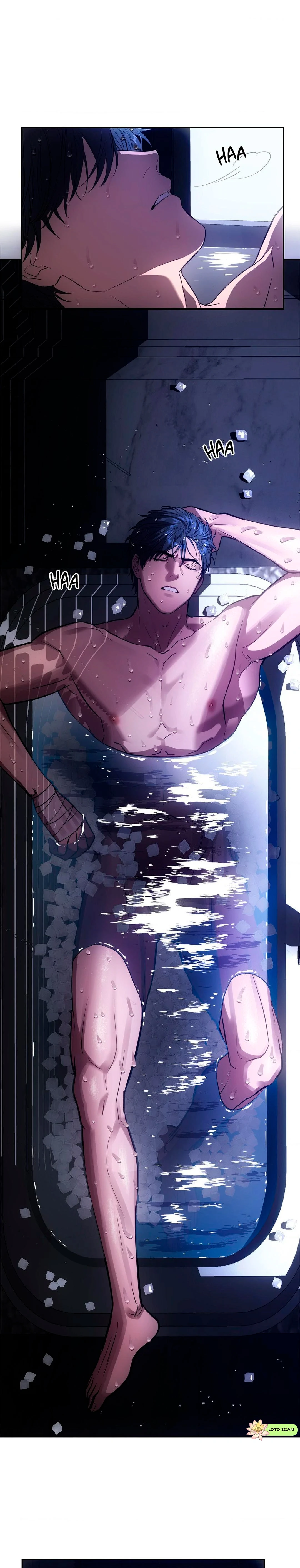 4 el buscador de la noche dulce