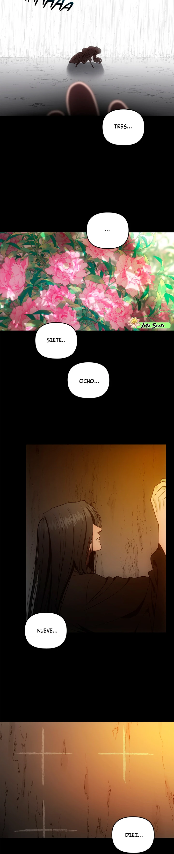 8 el buscador de la noche dulce