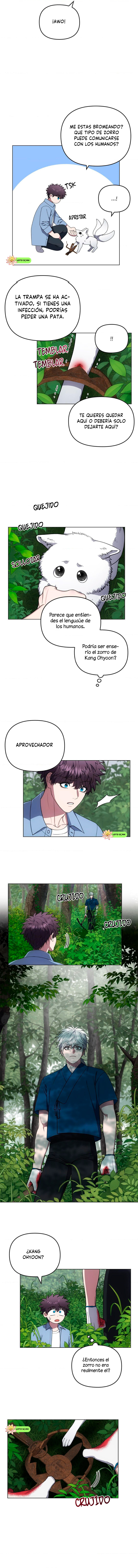 4 el buscador de la noche dulce