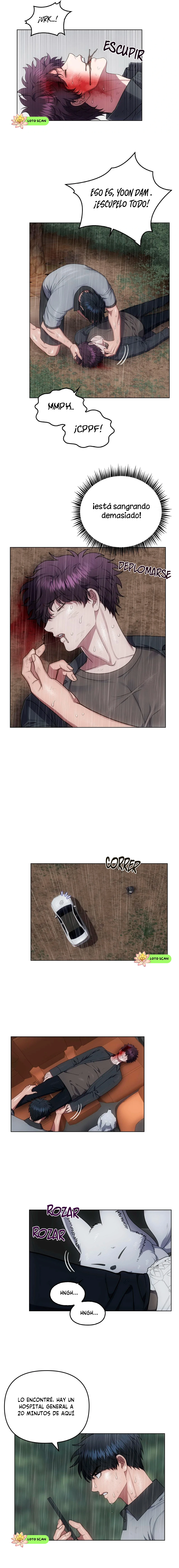 13 el buscador de la noche dulce