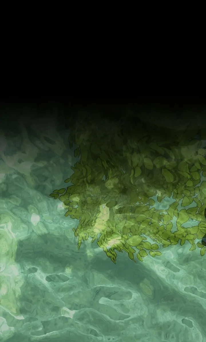 44 Mision salvar al cazador