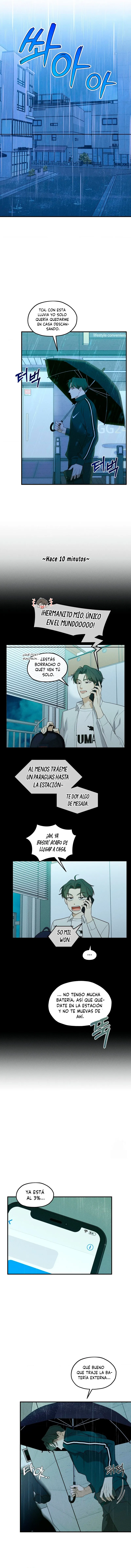 10 Área de investigación de errores